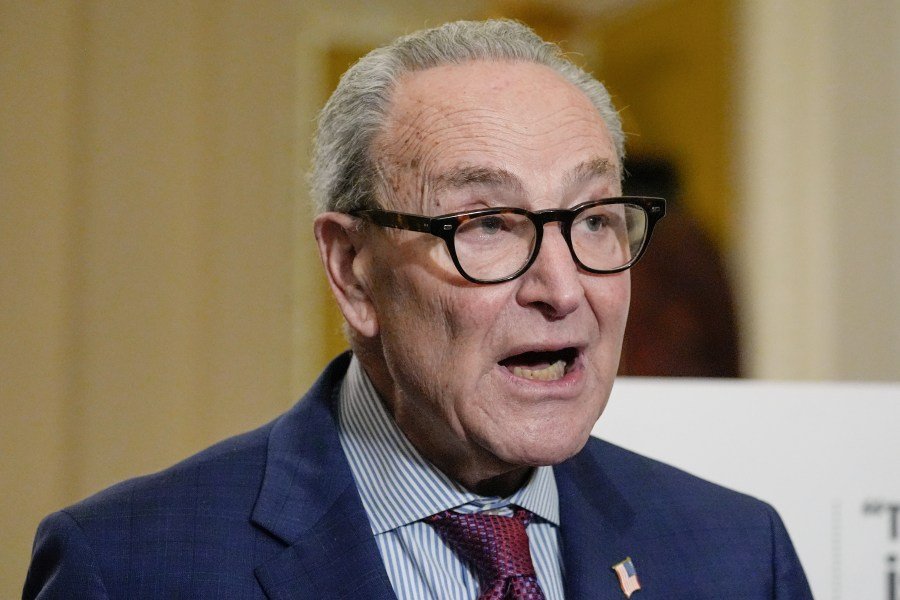 Democrats want control of Congress, but what will they actually do with it? 