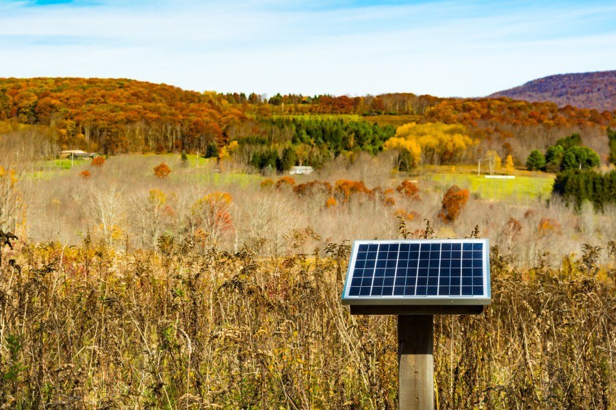 Judge axes Trump guidance restricting green credits