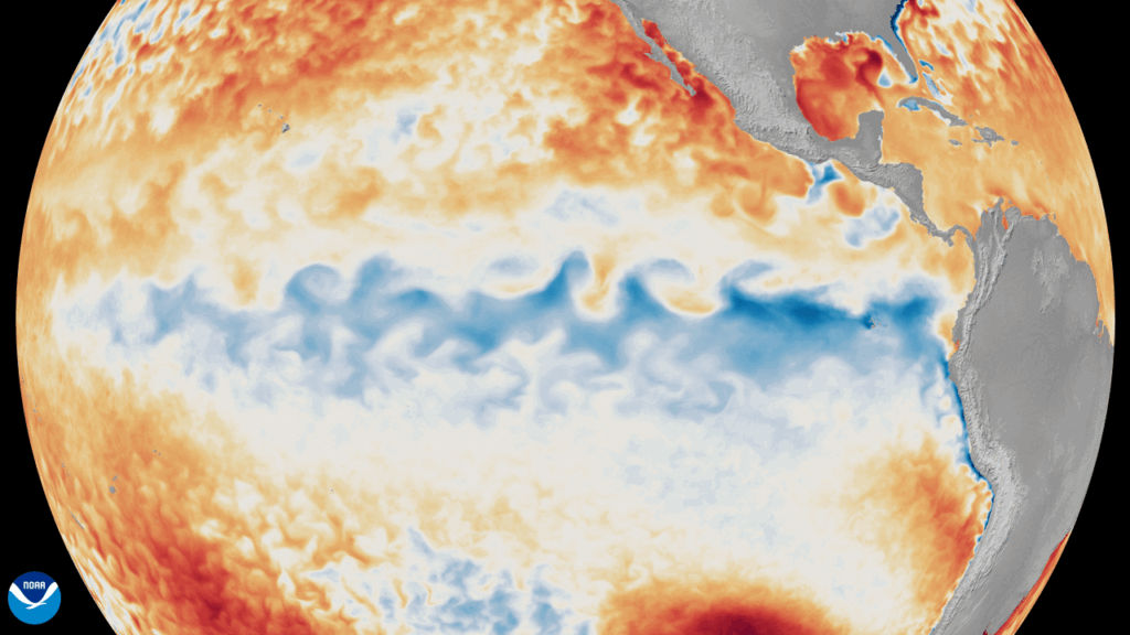 6 Ways This Year’s “Super El Niño” Could Affect Climate, Humans, and Marine Creatures