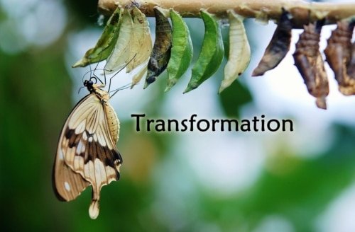 Transforming Ordinary People – Acts 4:13
