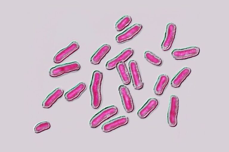 Popular frozen snack latest to be recalled over salmonella concerns: Full list