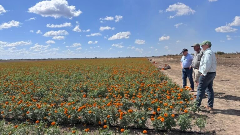 Why smarter water management is critical for farmer returns