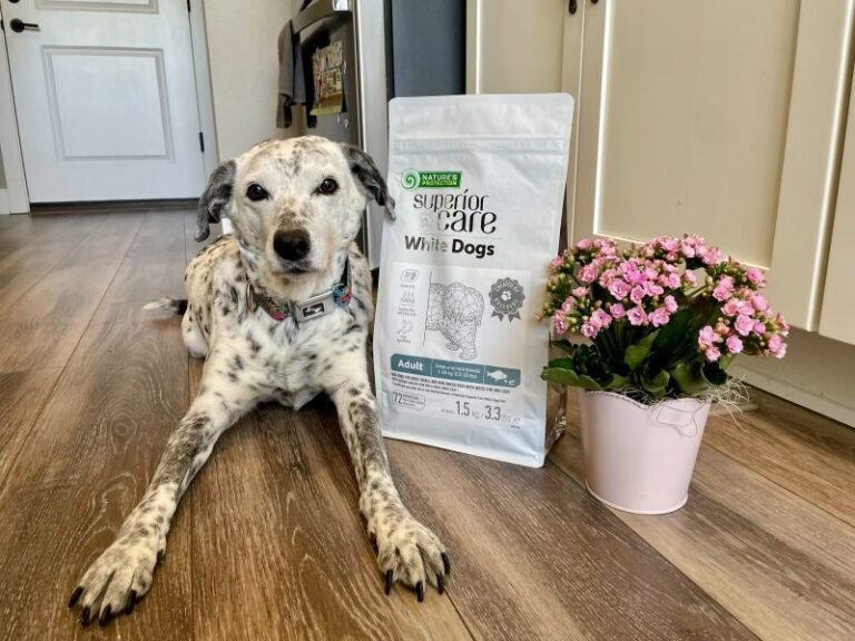 Superior Care White Dogs Grain-Free Small Breed Dog Food Review 2026: Our Expert’s Opinion