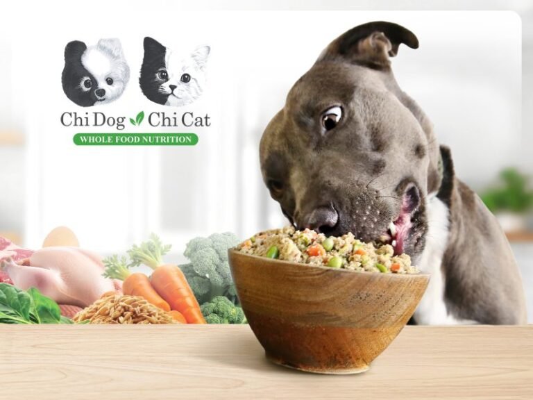 Why I Created Chi Dog: Whole Food Nutrition That Supports Dogs From the Inside Out