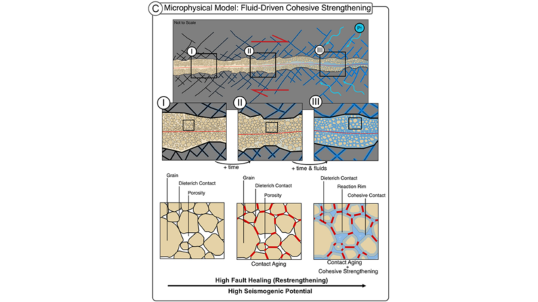 Fluid-Driven Reactions Restore Fault Strength Between Earthquakes
