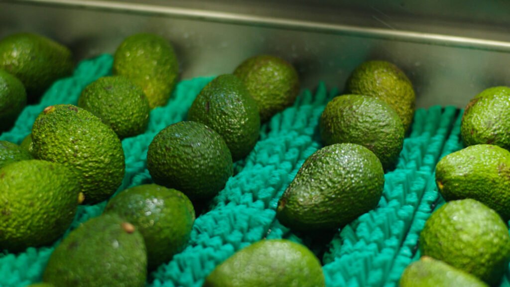 Apeel founder on MAHA misinformation, layoffs, and a second act in post-harvest tech