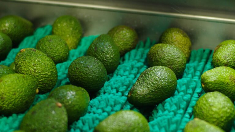 Apeel founder on MAHA misinformation, layoffs, and a second act in post-harvest tech