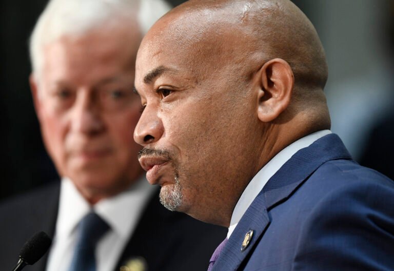 Democrats seek more control over referenda in New York
