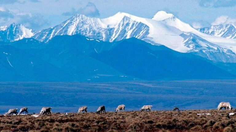 What Congress gets wrong about the Arctic Refuge and America's sportsmen