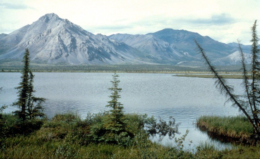 Trump auctions off rights to drill in Alaska wildlife refuge, but gets few bidders