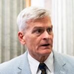 GOP senator: Trump putting ‘American lives at risk’ by blocking DNI nominee