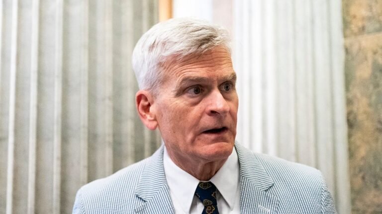 GOP senator: Trump putting ‘American lives at risk’ by blocking DNI nominee