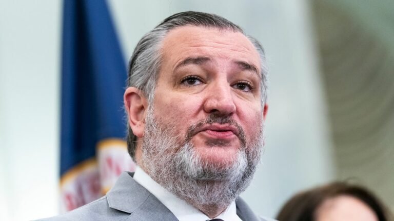 Cruz on high gas prices: 'I don't think it's gonna impact the midterms'