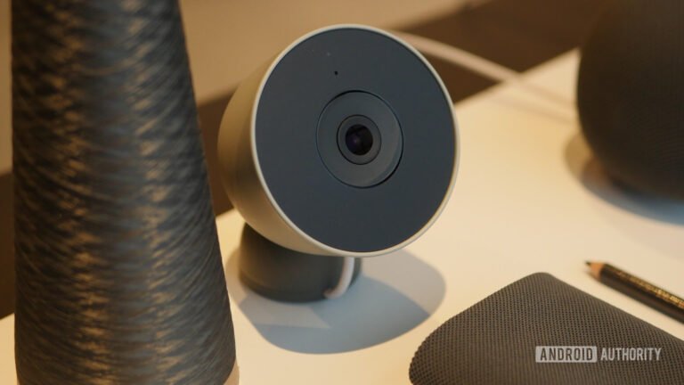 Google Home unleashes new personalized pet updates