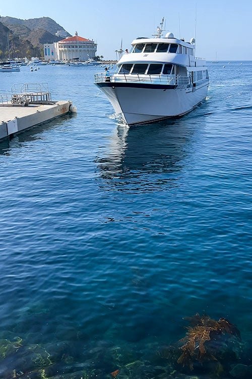 Best Things to Do on Catalina Island for a Weekend Trip