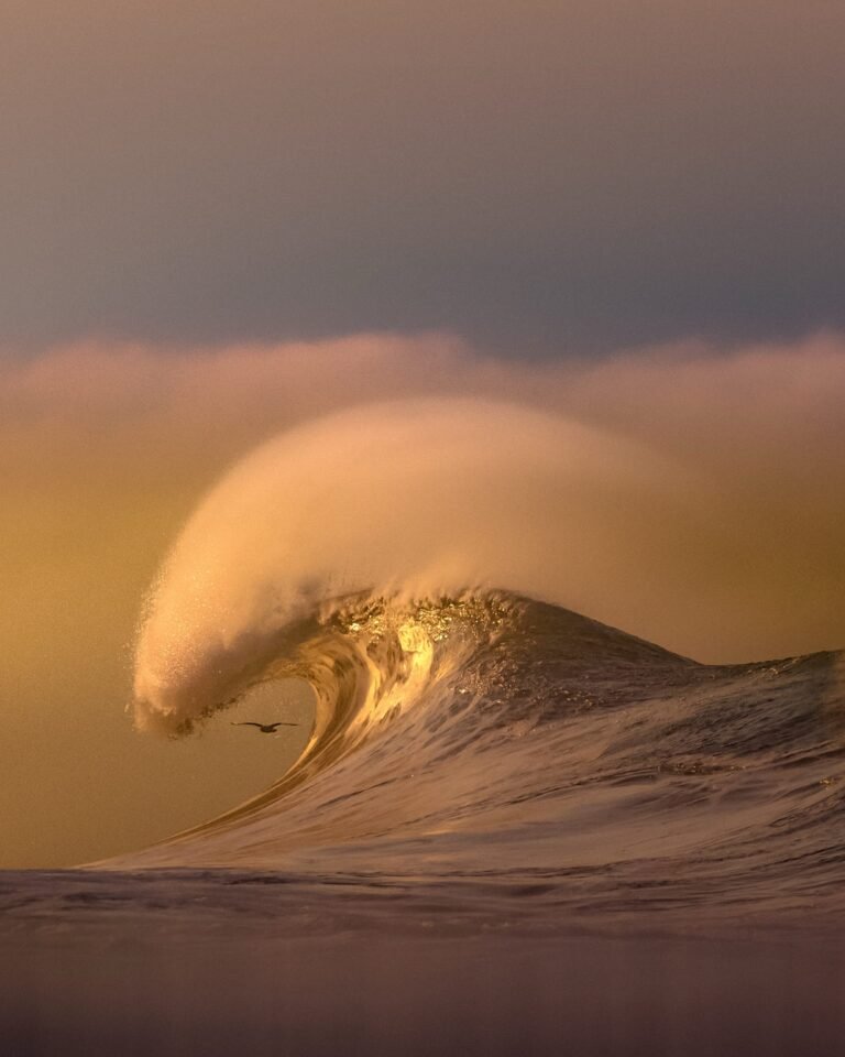 Pacific Surf Takes Center Stage in Craig Hubbard’s Dreamy Photos
