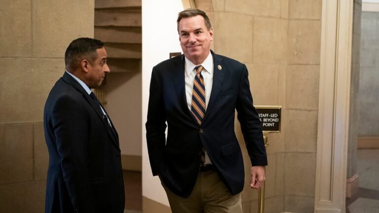 House GOP campaign chair: 'I think we'll pick up seats' in November 