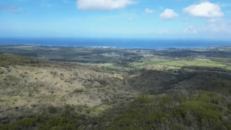 Controversial gondola proposal in Hawaii halted after governor signs bill