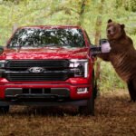 Ford Chooses The Bear To Test The F-150 Security Package
