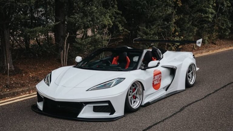 This Widebody Corvette Is Exactly What Purists Hate