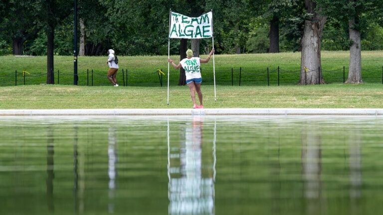 Lincoln Memorial Reflecting Pool work expenses grow