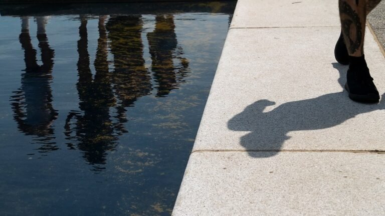 Trump: Reflecting Pool will be drained after July 4; algae 'criminally made'