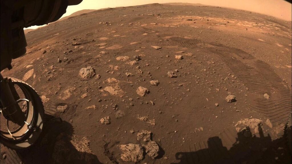 Perseverance Spots Organic Matter on Mars