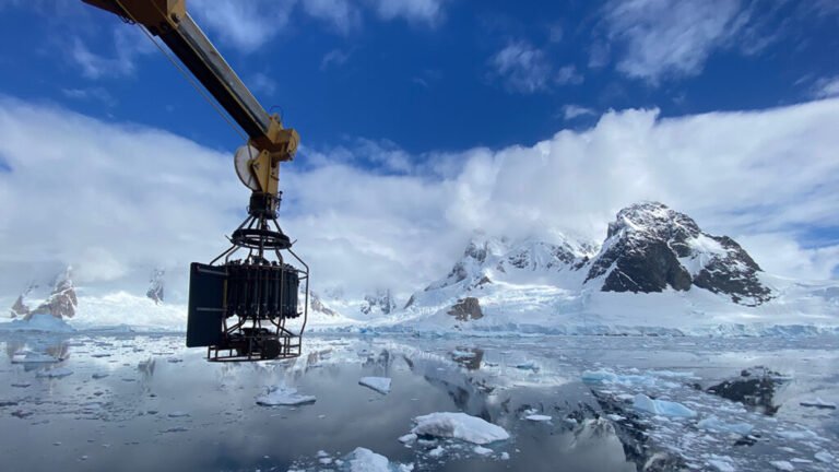 Machine Learning Rediscovers Equations Governing Ocean Biogeochemistry