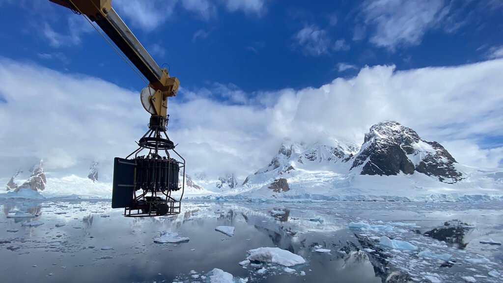 Machine Learning Rediscovers Equations Governing Ocean Biogeochemistry