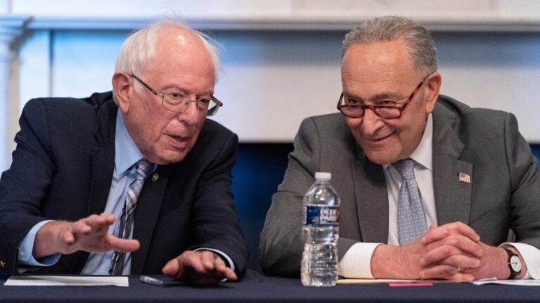 Schumer vs. Sanders: a fight for the Democratic Party’s identity 