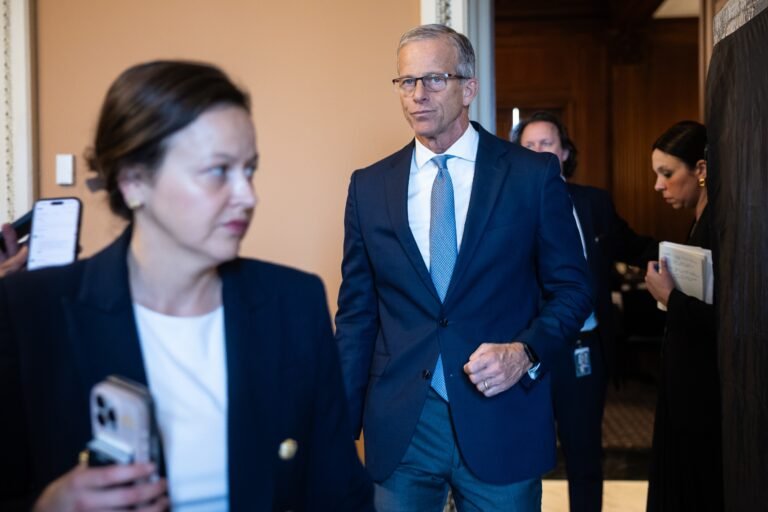 Thune says DOJ fund will need changes to unlock immigration bill