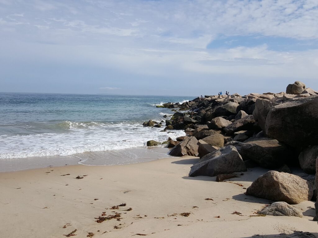 I live in Rhode Island. My favorite town to visit in the summer has great seafood, quiet beaches, and a bamboo forest.