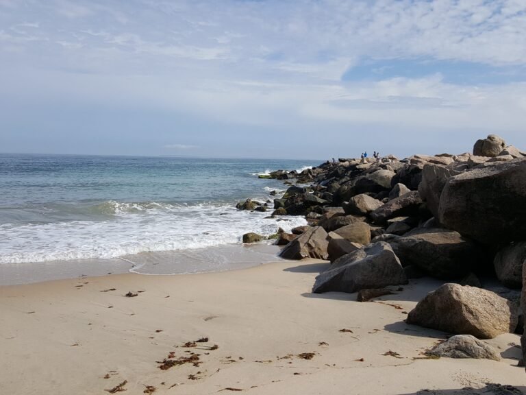 I live in Rhode Island. My favorite town to visit in the summer has great seafood, quiet beaches, and a bamboo forest.
