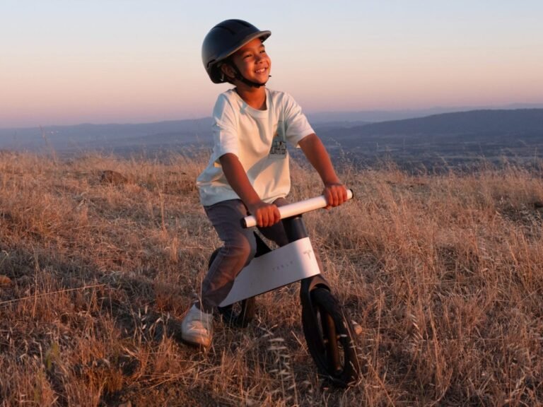 Tesla's newest set of wheels is a $225 bike for toddlers