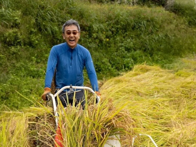 I spent years in finance. Then I realized rural Japan's rice terraces were an overlooked asset.