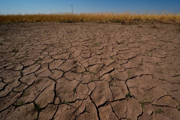 'Mini Dust Bowl' could be forming in the US, expert warns. Will El Niño make it worse?