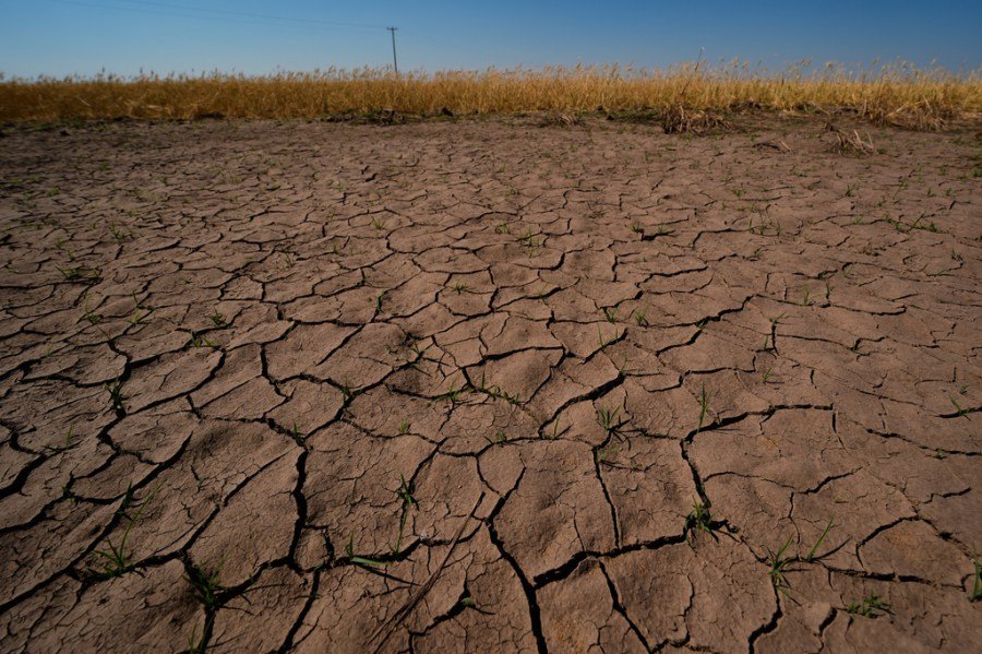 'Mini Dust Bowl' could be forming in the US, expert warns. Will El Niño make it worse?