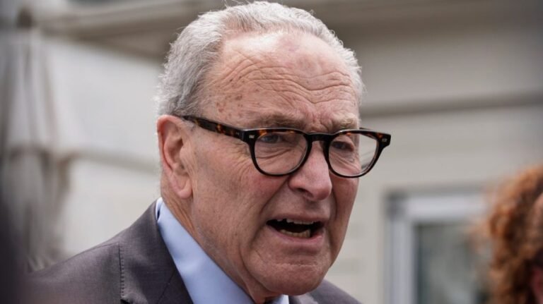 Schumer on Trump election board firings: 'Brazen attempt to seize control'
