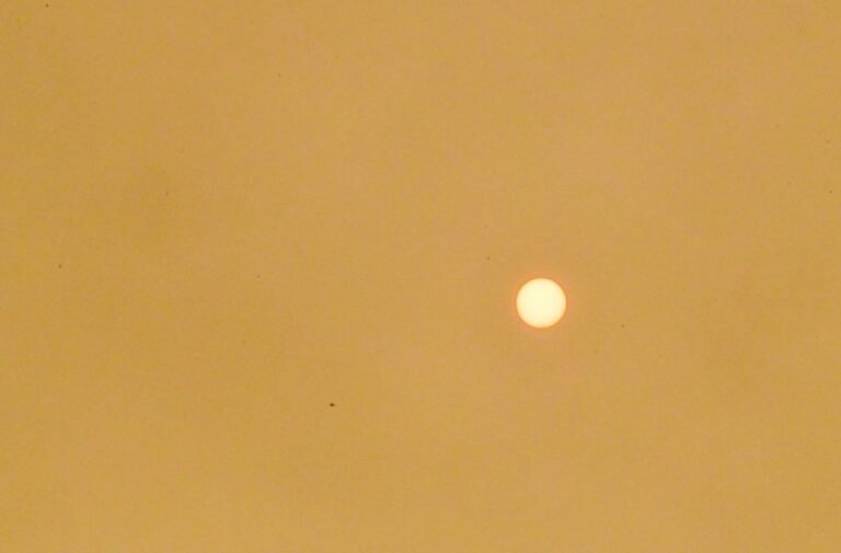 These US cities have the world's worst air quality as wildfire smoke settles in