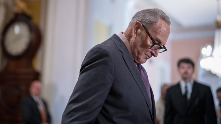 Democratic presidential hopefuls take different tacks with far left