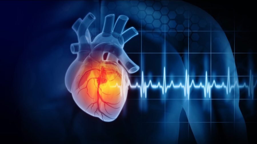Study finds alarming level of microplastics in heart attack patients' blood