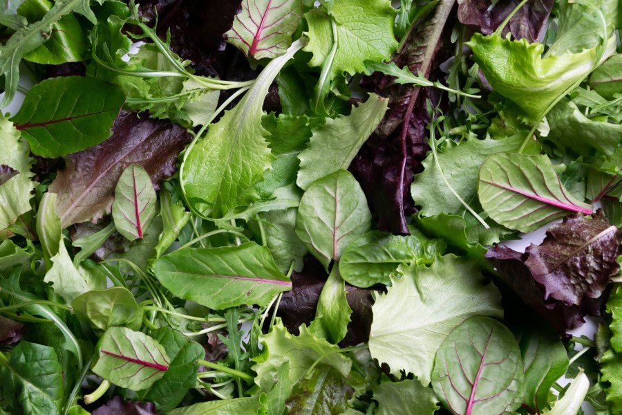 Lettuce or salad greens may be culprit in Michigan cyclosporiasis outbreak, health officials say