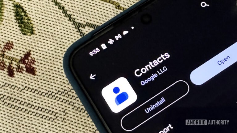 Google’s ‘Your info’ is finally starting to roll out to the Contacts app