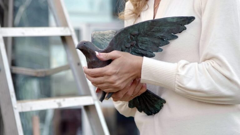 A Stolen Dove Takes Flight Again
