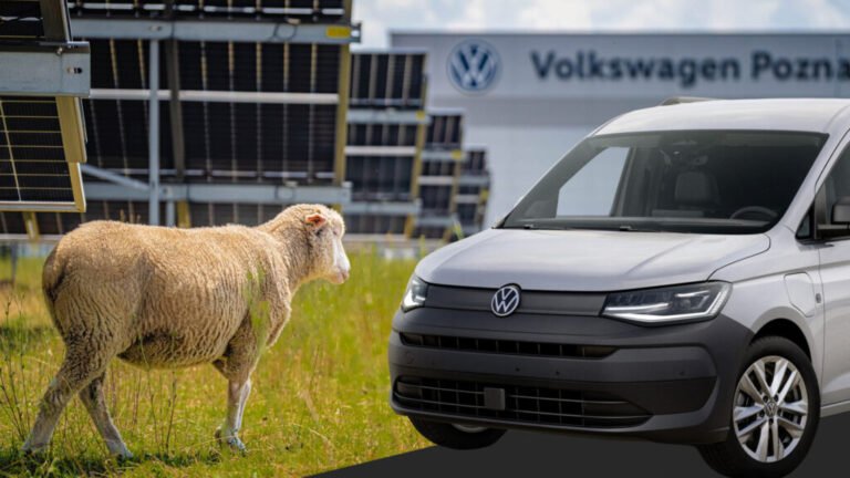 VW Fired Its Lawnmowers And Hired 100 Sheep