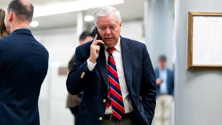 Here's who could replace Graham in Senate