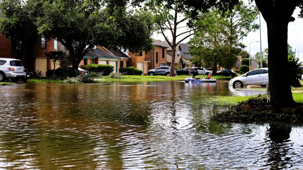 Calculating the Costs of Wetland Loss