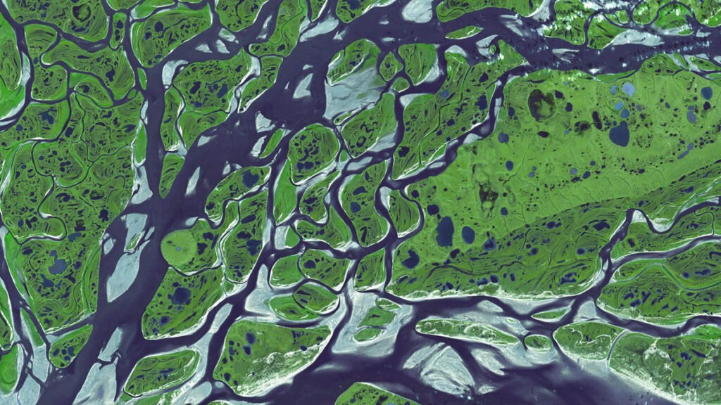 Big Trouble from Little Wetlands
