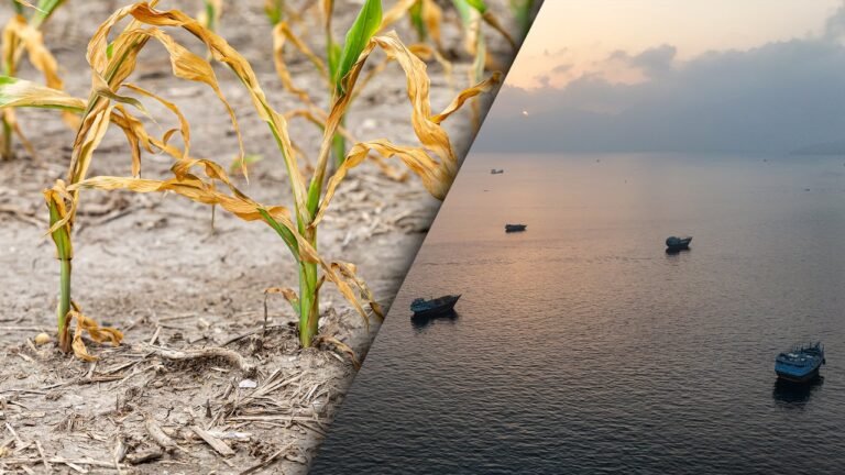 The Strait of Hormuz crisis is exposing a hidden food risk. New fertilizer tech could help