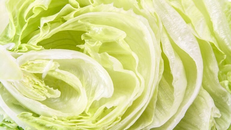 Cyclospora outbreak: FDA says it made a ‘false positive.’ Taylor Farms lettuce products are still being recalled 